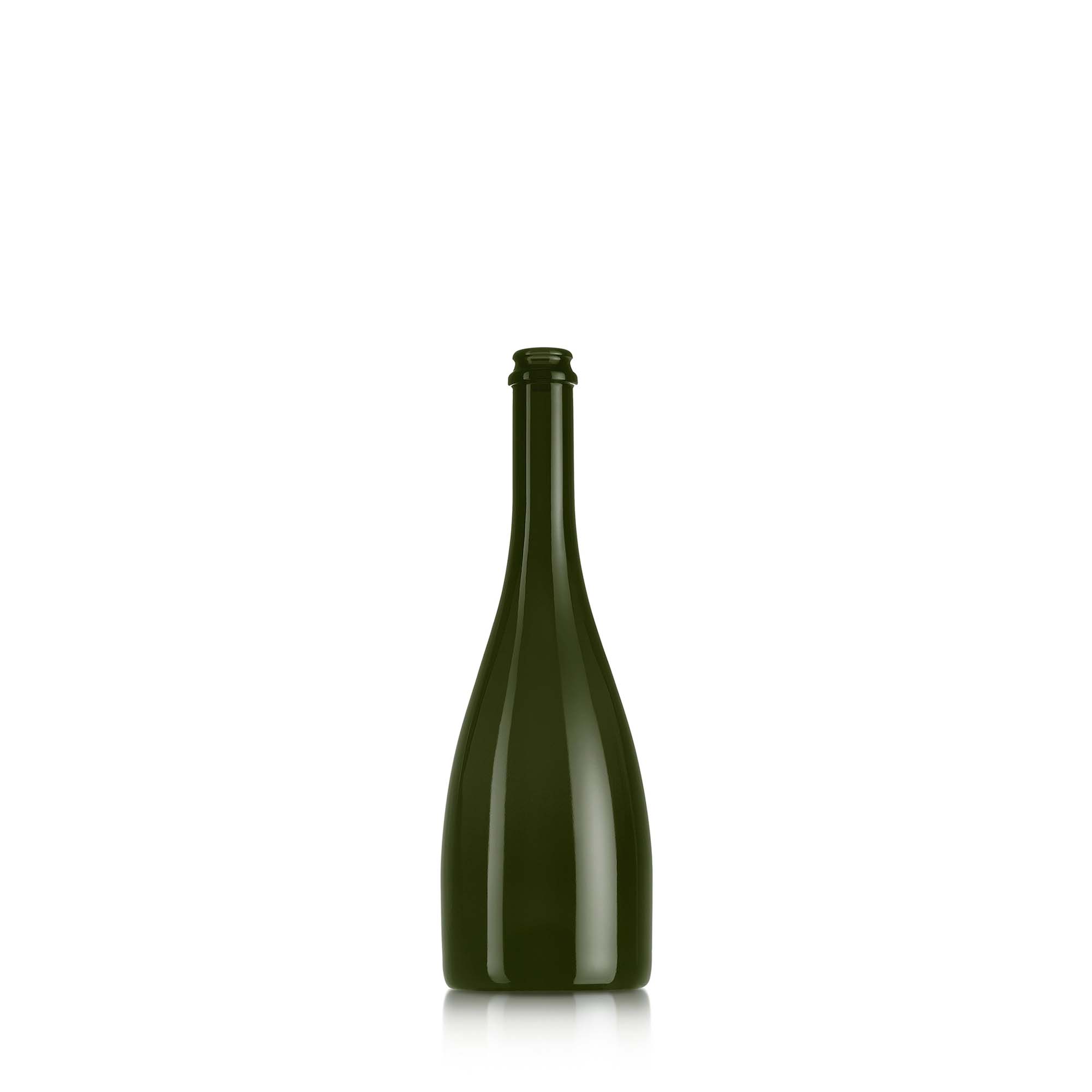 CHAMP TOSCA